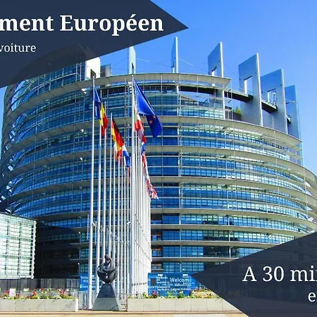 A 7 Min De La Gare アパート ストラスブール